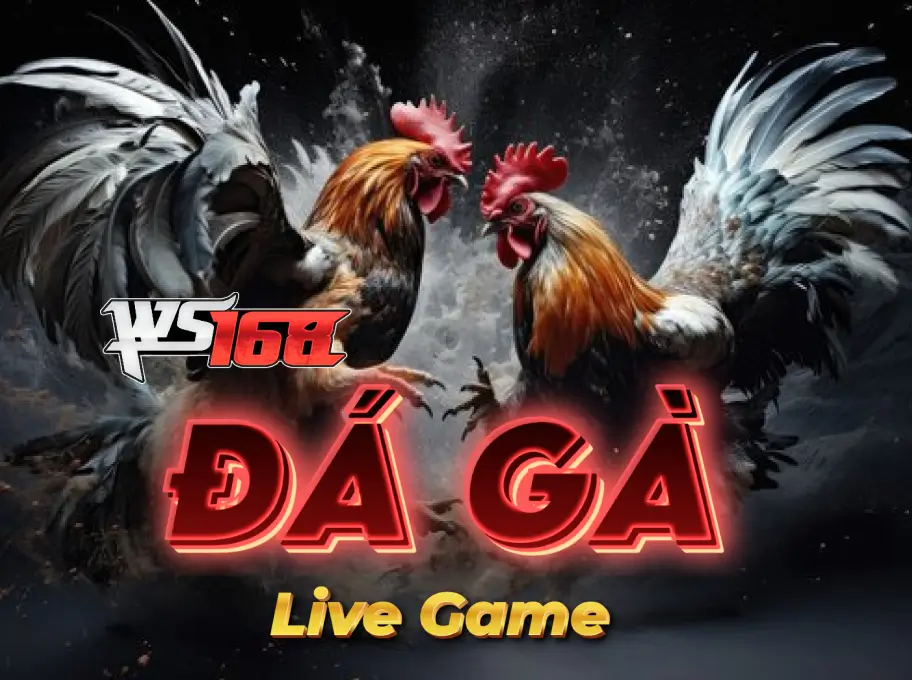  Đá Gà Trực Tuyến