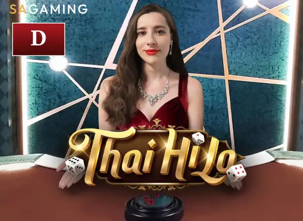  D Thái HiLo