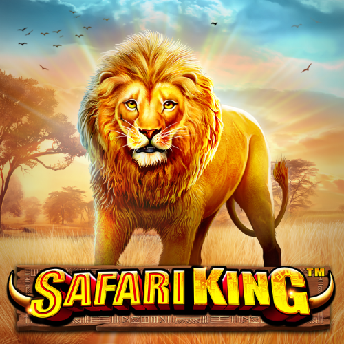 Safari King DA88