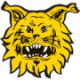 FC Ilves II