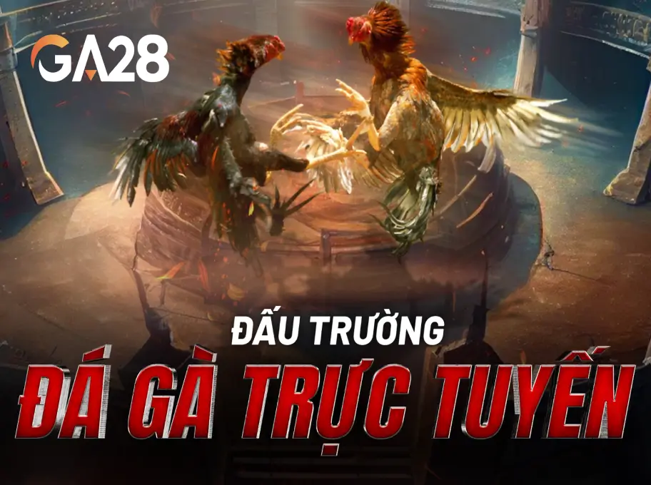 Đá Gà Trực Tuyến GA28