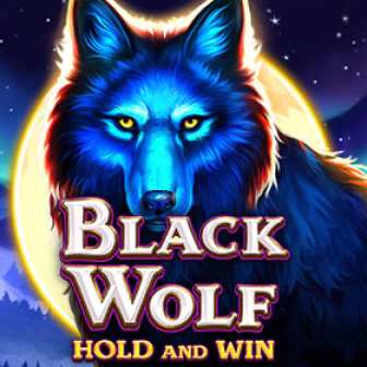 Black Wolf: Hold and Win DA88